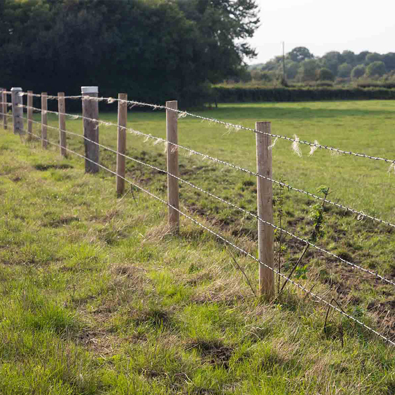 Barbed wire fence
